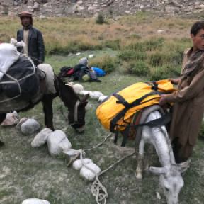 Our porters managing the donkeys, which carried our gear.